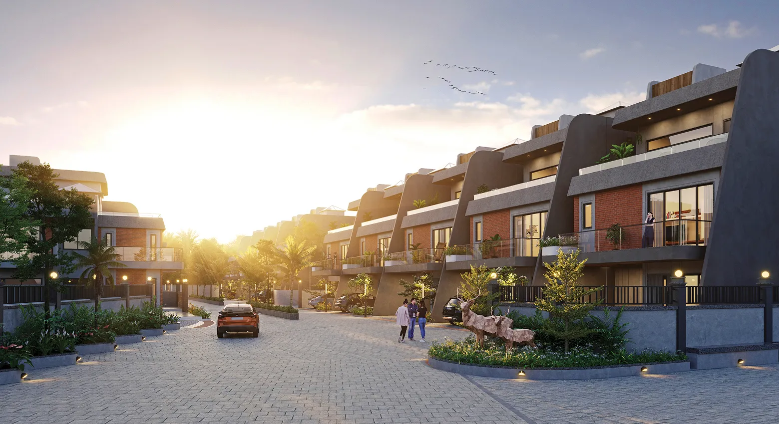project View Image