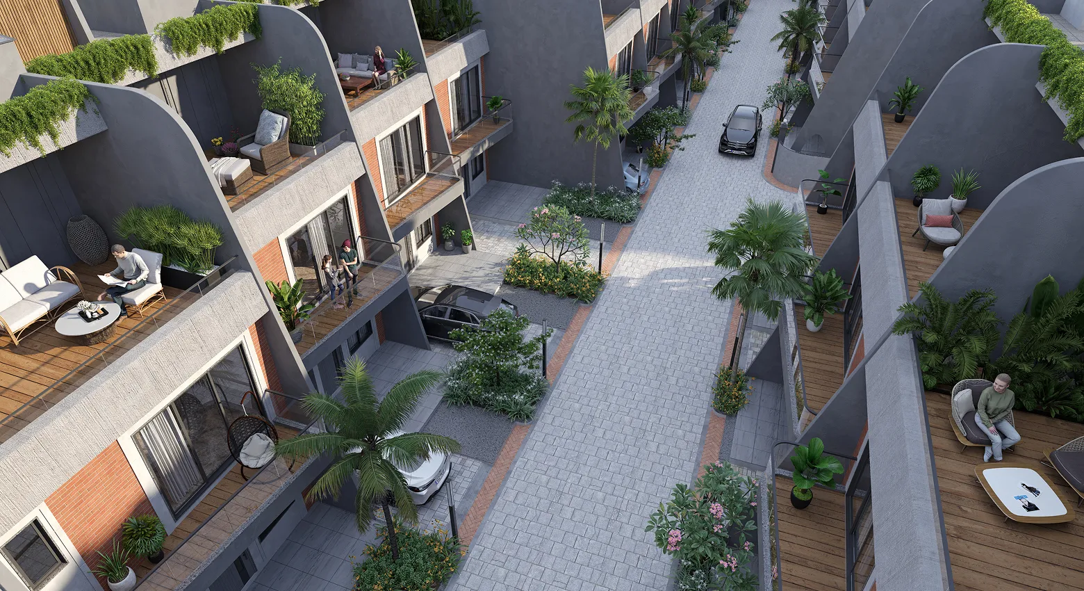 project View Image