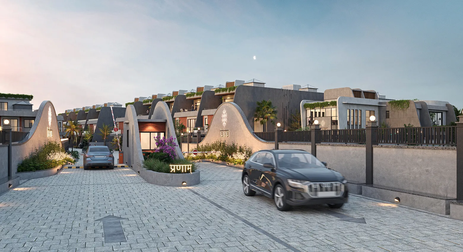 project View Image